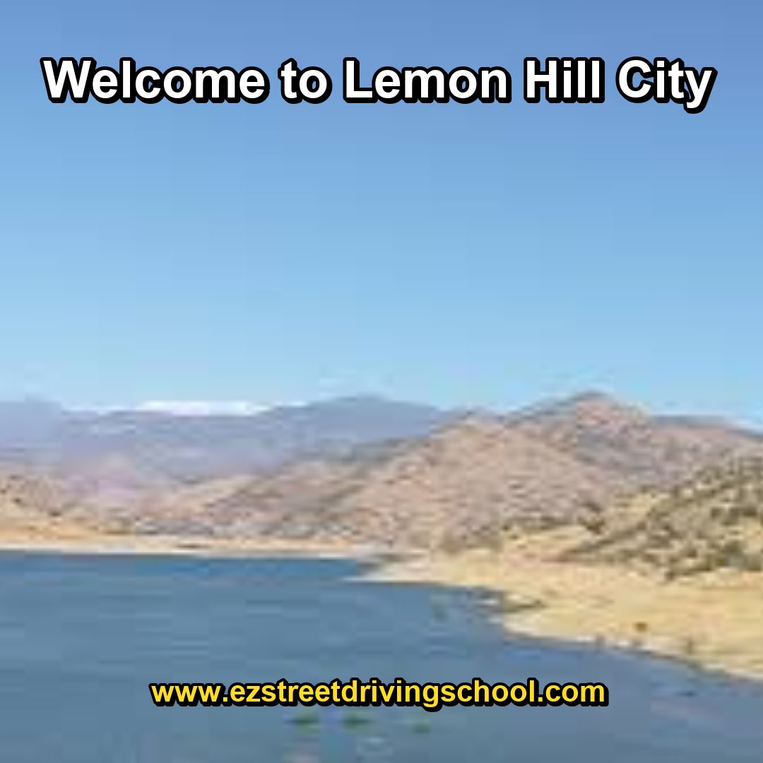 Driving Lessons in Lemon Hill